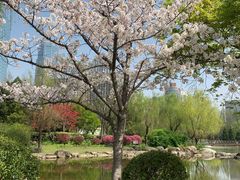-新虹桥中心花园