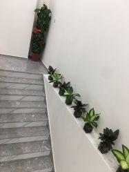 -赵大夫减肥