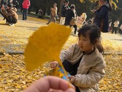 -蓝莓果幼儿园(通州梨园店)