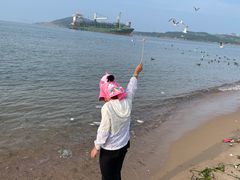 -海驴岛(荣成市)