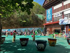 -西双版纳原始森林公园
