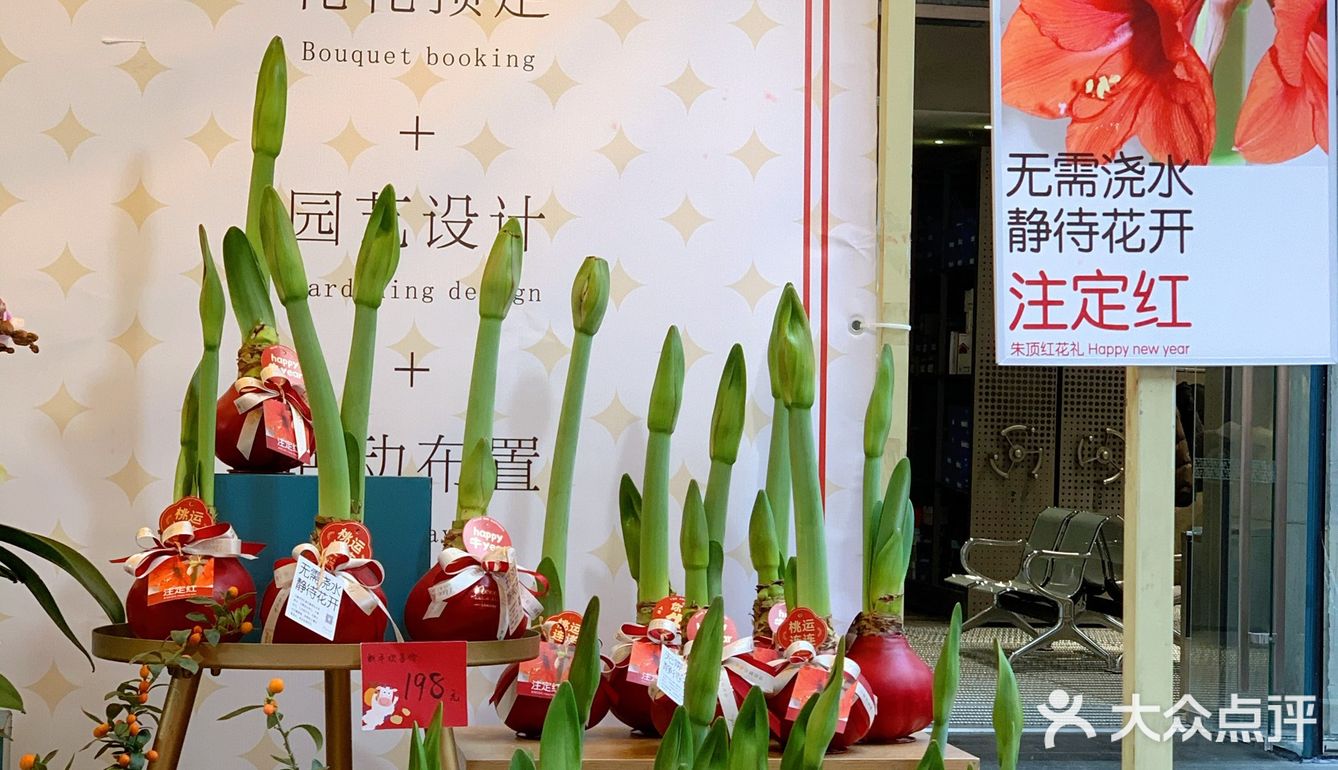 年意浓[红包][红包][红包]