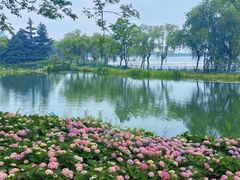 -金银湖国家城市湿地公园