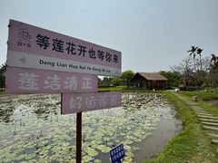 -蔡家宅