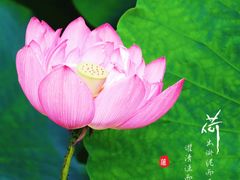 -成都市文化公园