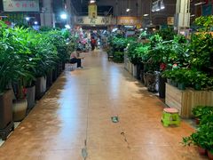 -大自然花鸟鱼虫市场