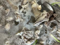 -上南瓦煲鸡·清远鸡·老字号(总店)