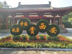 -乡党臊子面(丰庆公园店)