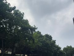 -宋庆龄陵园