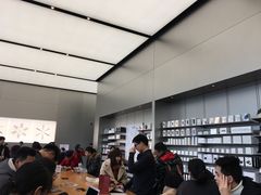 -Apple零售店(成都太古里店)