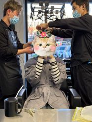 -付军剪艺JF ProSalon