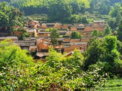 -杨家堂村