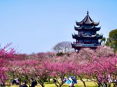 -上海海湾国家森林公园