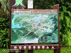 -深圳仙湖植物园