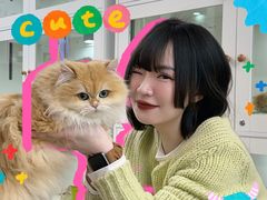 -青奢宠物·青奢猫舍