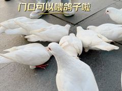-万达广场(长沙开福店)
