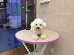-FAELING PETS美天灵宠物(富力广场店)