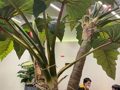 -CoCo都可(崇川万象城店)