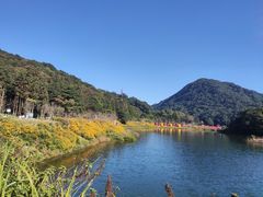 -广州市石门国家森林公园
