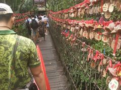 -呀诺达热带雨林