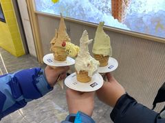 -野人先生现做冰淇淋(西安赛格店)