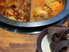 -楠火锅(哈尔滨金爵万象店)