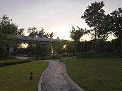 -宝安西湾红树林湿地公园