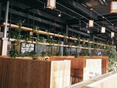 -桃源村铁锅炖鱼(体育馆道店)