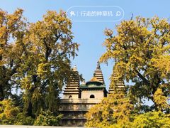 -北京石刻艺术博物馆(五塔寺)
