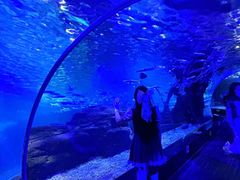 -江和美海洋公园