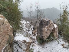 -树山生态村