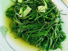 -靖远尕六美味羊羔肉