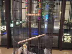 -上海崇明金茂凯悦酒店