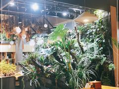 大堂-森味薪火烧•烧鸟居酒屋•日本料理(望京店)