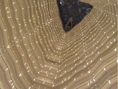 iphone_upload_pic-广州四季酒店·佰鲜汇·现代法餐