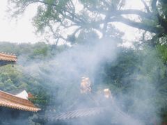 -普陀山风景名胜区-法雨禅寺