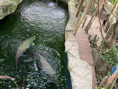 -青青世界
