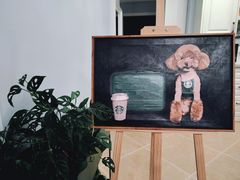 -读宠于你·约克夏比熊·睫角守宫·爬宠售卖(高新店)