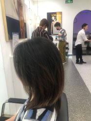 -YESIDO椰岛造型