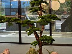 -椿杨樘·明康泡浴养生馆(重庆店)