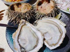 海胆刺身-蚝堡·生蚝海鲜烧烤物种起源•海肠捞饭(刘公岛店)