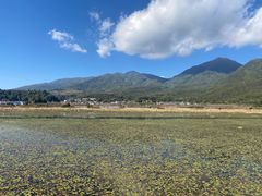 -腾冲北海湿地