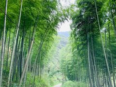 -水墨汀溪风景区