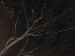 -上海颛桥万达广场