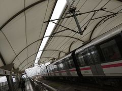 -外高桥保税区南(地铁站)