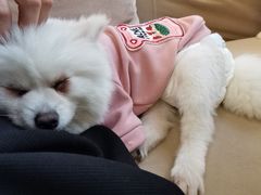 -怪兽屋·羊驼·猫咖·狗咖(俊华广场店)