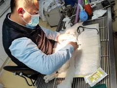 -瑞派雷欧宠物医院·中兽医·眼科·急重症转诊中心(黄台店)