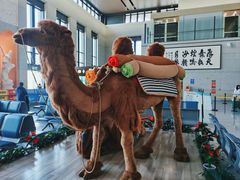 -敦煌莫高国际机场