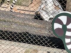 -合肥野生动物园