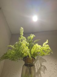 -香秀空间科技抗衰·美容中心